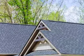 The Best Roofing Materials for Homes in Coastal Areas