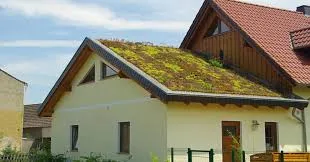 The Role of Roofing Contractors in Green Roofing Solutions