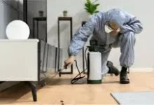 Effective Pest Control Solutions for Homes and Businesses in Charleston